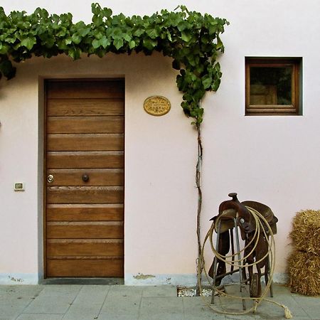 Appartamenti Agriturismo La Canonica Чертальдо Екстер'єр фото